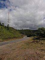 Carretera PR-143 (Viajando hacia el Este) y acercandose a la Carretera PR-577 que dirije hacia el Cerro Maravilla, Barrio Anon, Ponce, PR (DSC01629).jpg