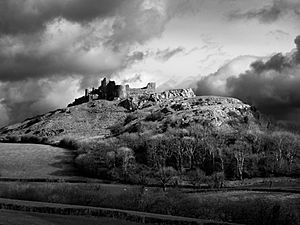 Castle Carreg Cennnen - Flickr - wiremoons