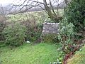 Holy Well of St. John, Morwenstow. - panoramio