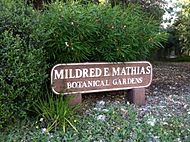 Mildred E. Matthias Botanical Gardens 01