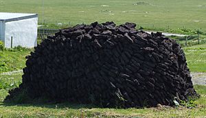 Peat-Stack in Ness, Outer Hebrides, Scotland