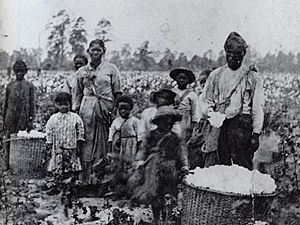 Family of slaves in Georgia, circa 1850