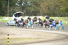 Harness racing at Fairfield Showground