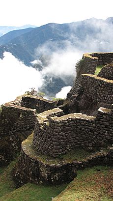 Inca Trail Phuyupatamarka