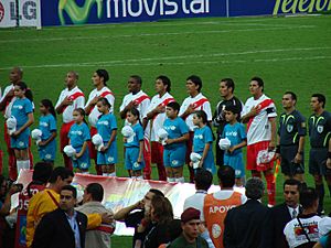 Perú en Copa América 2007