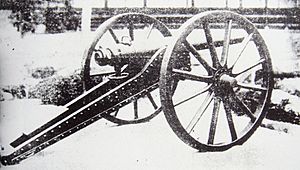 Sagahan Armstrong gun used at the Battle of Ueno against the Shogitai 1868