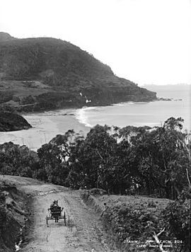Stanwell Park Beach from The Powerhouse Museum
