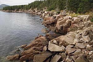 A080, Acadia National Park, Maine, USA, Otter Cove, 2002