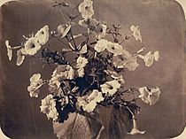 Adolphe Braun - Flower study