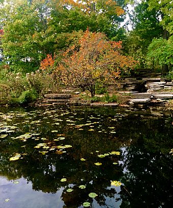 Alfred Caldwell Lily Pond with rocks.jpg