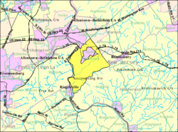 Census Bureau map of Pohatcong Township, New Jersey