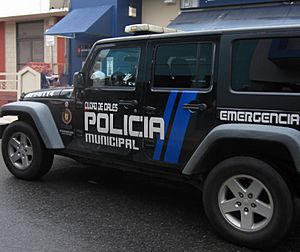 Ciales Police Car