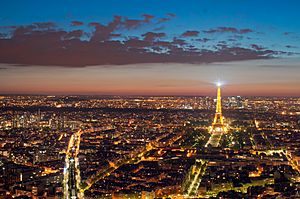 Eiffel Tower from the Tour Montparnasse, 1 May 2012 N1