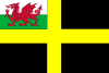 Flag of Saint David with Welsh Red Dragon.svg