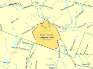 U.S. Census map of Livingston Manor