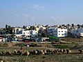 Rahat largest Bedouin city in Israel