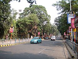 Upendranath Brahmachari Road - Kolkata 2011-10-16 160462