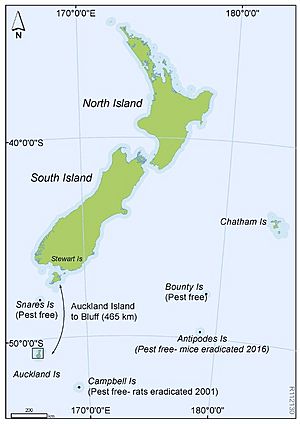 Auckland Islands Location