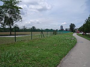 Chain link fence surrounding a field in Jurong, Singapore