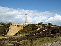 Hardy's Monument - geograph.org.uk - 931885