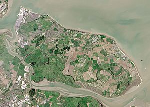 Isle of Sheppey from Space NASA.jpg