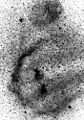 Nebula-Barnard's-Loop-bw-inverse