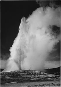 Photograph of Old Faithful Geyser Erupting in Yellowstone National Park - NARA - 519994