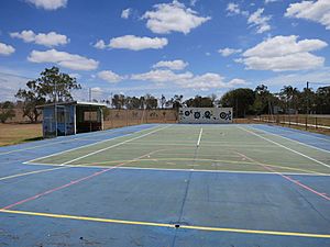 Tennis court, looking north (2014)