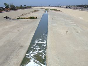 Tijuana river