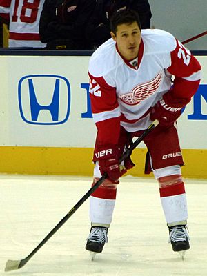 Tootoo Red Wings 2013 01 21