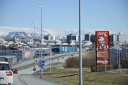 2014-04-27 12-04-41 Iceland - Kópavogi Kópavogur