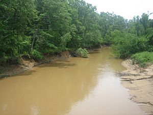 Angelina River west of Nacogdoches, Texas.JPG