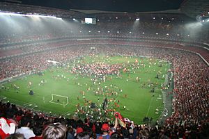 Benfica Campeão 2005 2