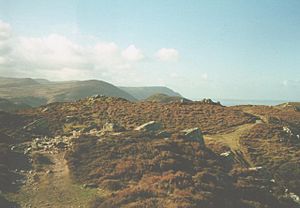 Caer Seion - An Iron Age Fort on Conwy Mountain - geograph.org.uk - 254135
