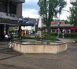 Dorfbrunnen Reinach
