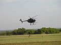 Feral hog hunt by helicopter TX WS