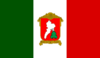 Flag of Toluca