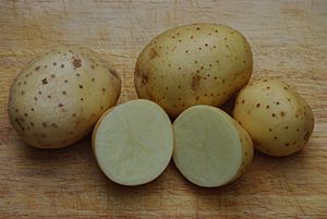Four Maris Piper potatoes, one halved.jpg