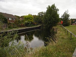 Millhead Stream1