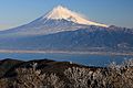 Mount Fuji from Mount Daruma