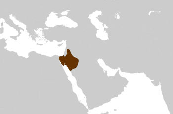 The Nabataean Kingdom at its greatest extent