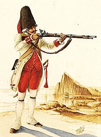 Spanish Grenadier Napoles