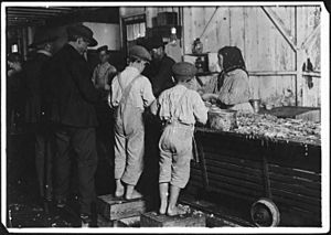 8 year old Max, one of the shrimp pickers. Only a small force was working that day. Biloxi, Miss. - NARA - 523402