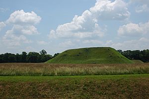Etowah Indian Mound A