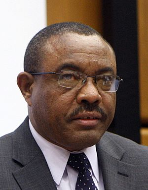 Hailemariam2014.jpg
