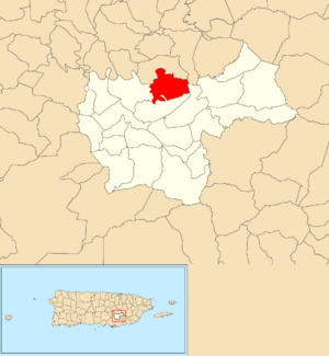 Location of Rincón within the municipality of Cayey shown in red