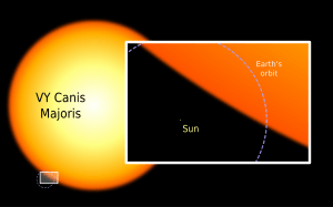 Sun and VY Canis Majoris