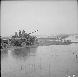The British Army in North-west Europe 1944-45 B12983