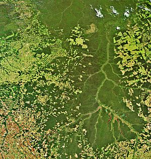 The Xingu River in Brazil captured by Envisat ESA228660