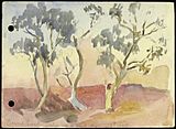 Outback landscape with trees.